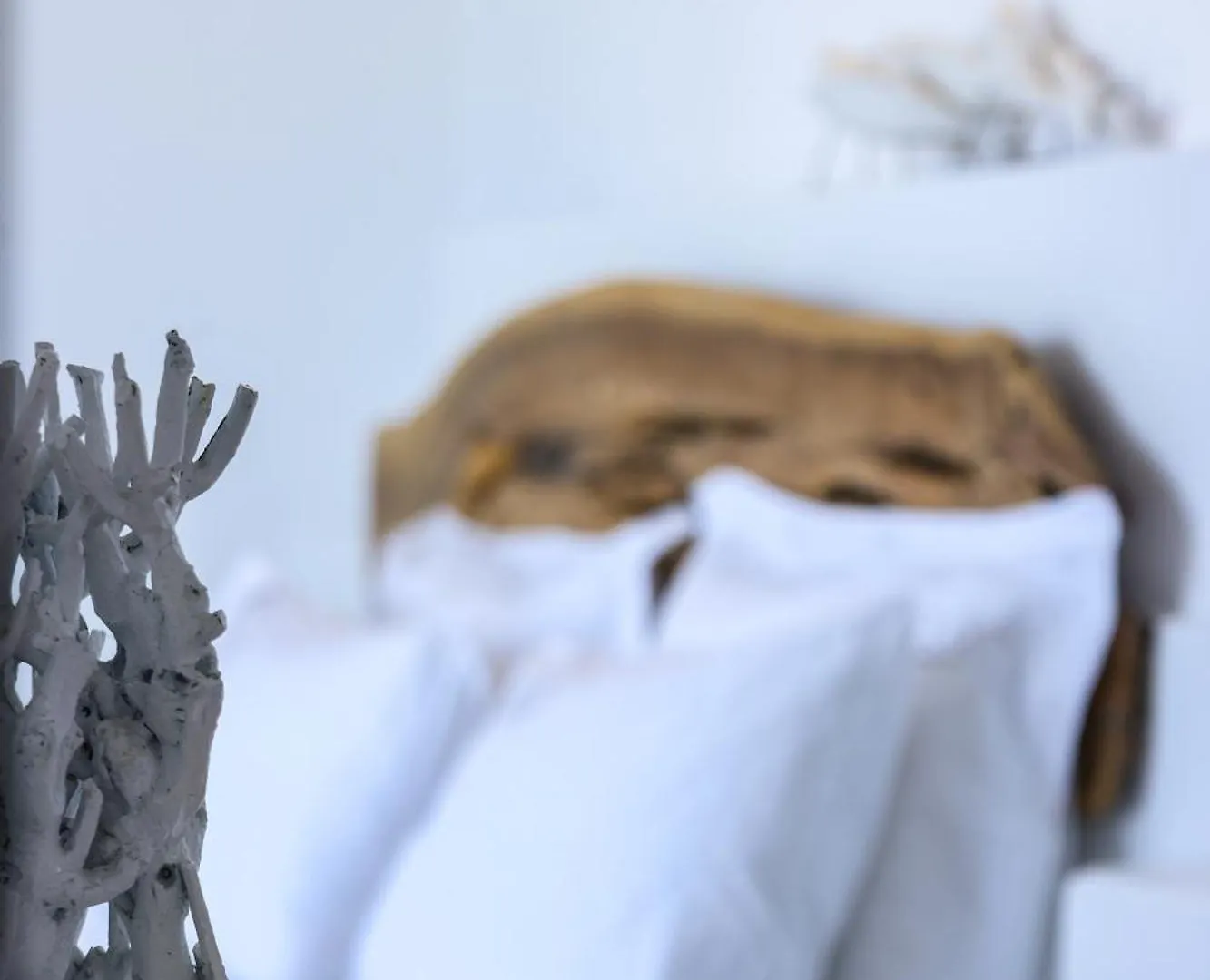 Ibiscus Boutique Hotel Mykonos Town Grækenland